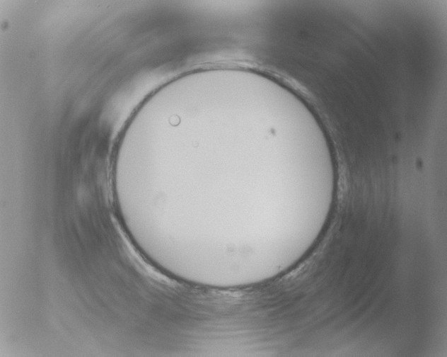 X0000051911470200507152018