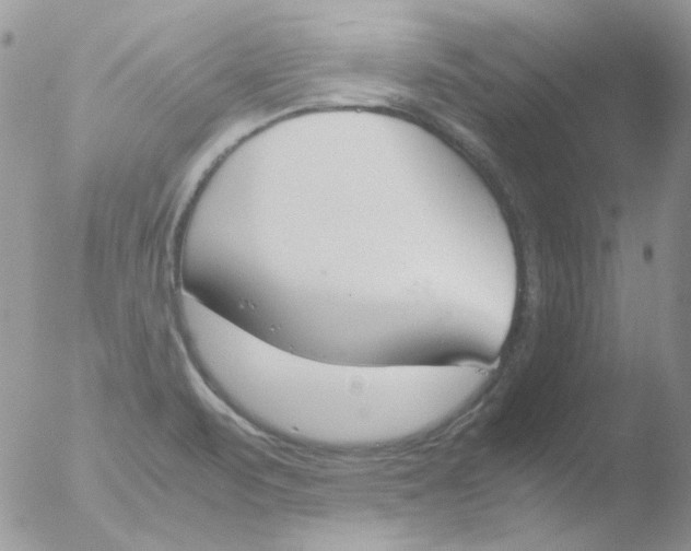 X0000051911471200507152018