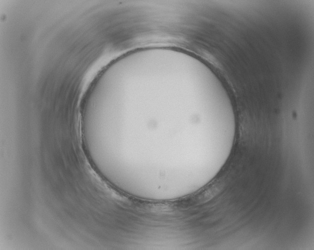 X0000051911472200507152018