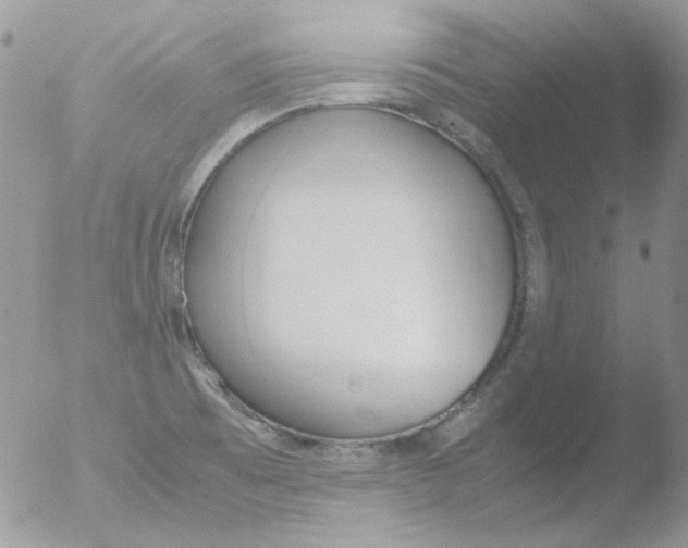 X0000051911473200507152018