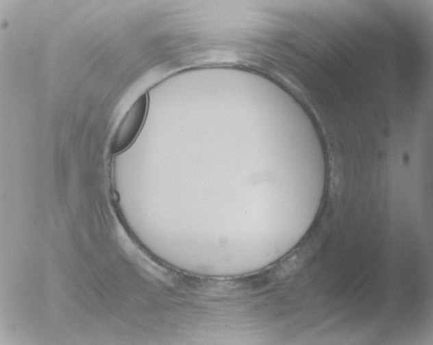 X0000051911475200507152018