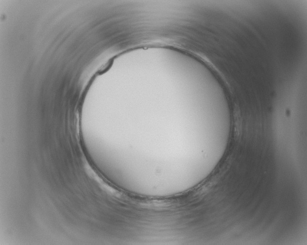 X0000051911476200507152018