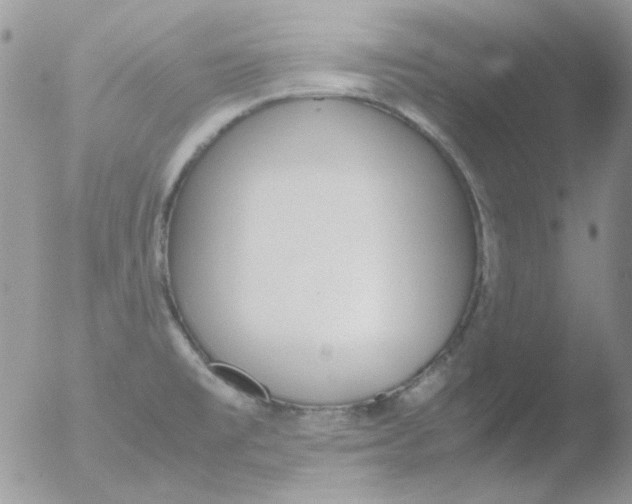 X0000051911477200507152018