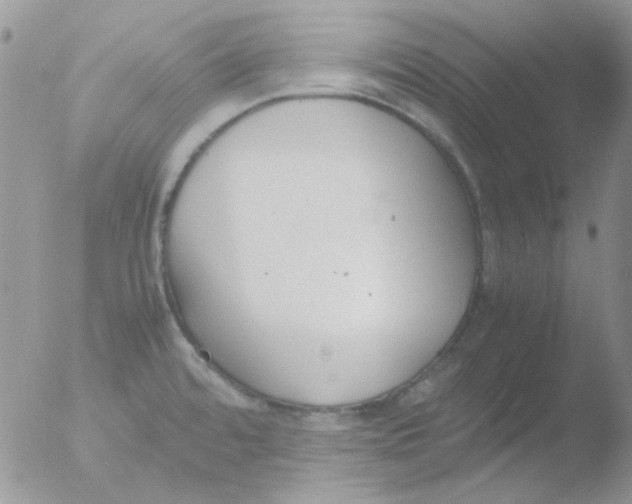 X0000051911480200507152018