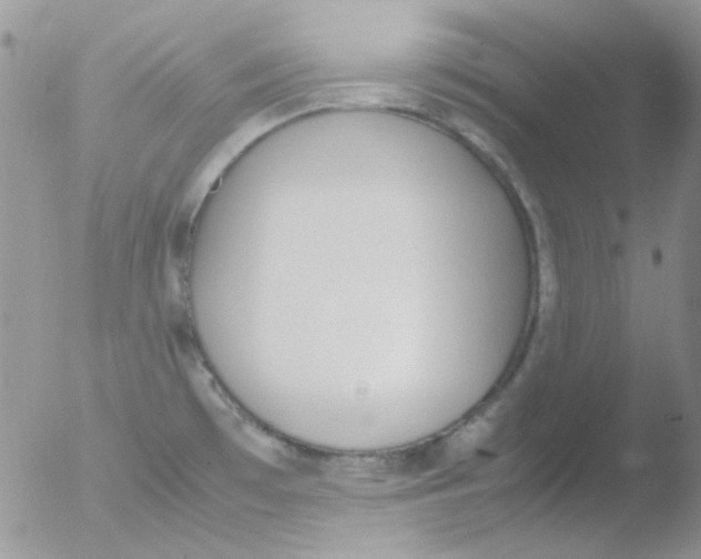 X0000051911481200507152018