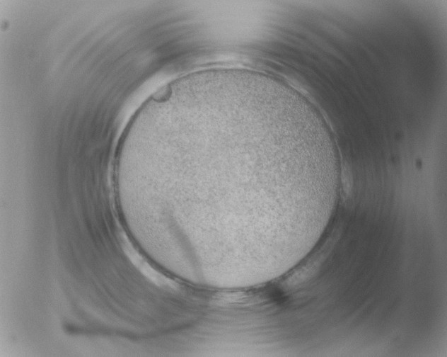 X0000051911482200507152018