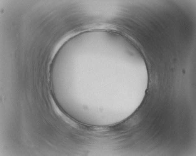 X0000051911483200507152018