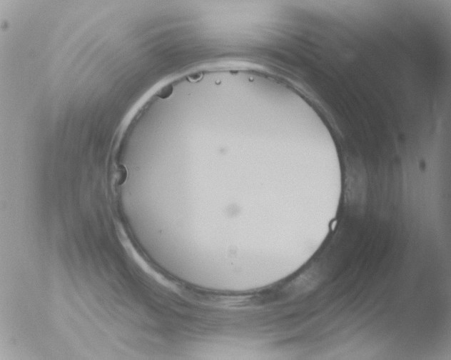 X0000051911484200507152018