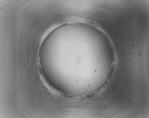 X0000051911485200507152018