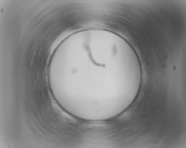 X0000051911486200507152018