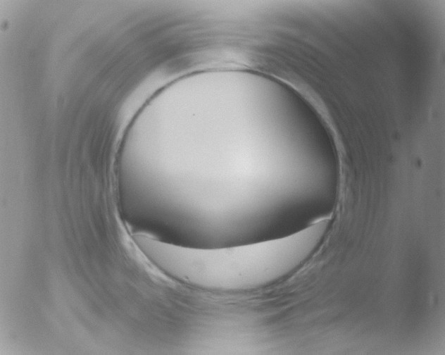 X0000051911488200507152018