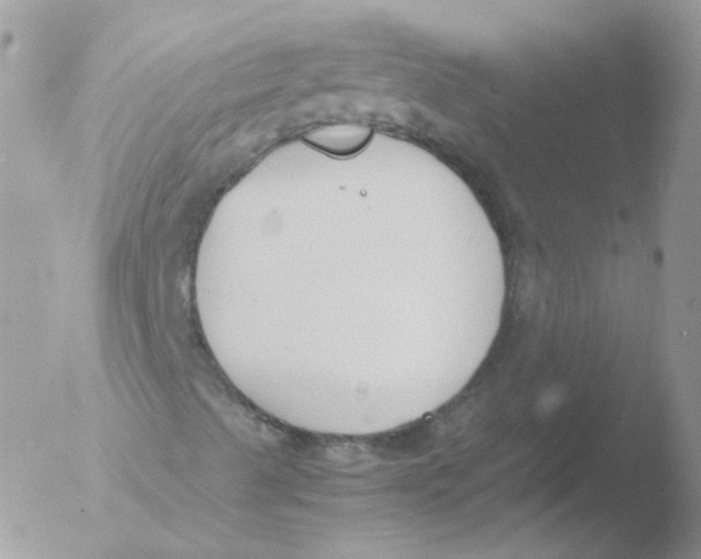 X0000051911489200507152017