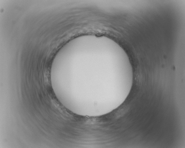 X0000051911490200507152017