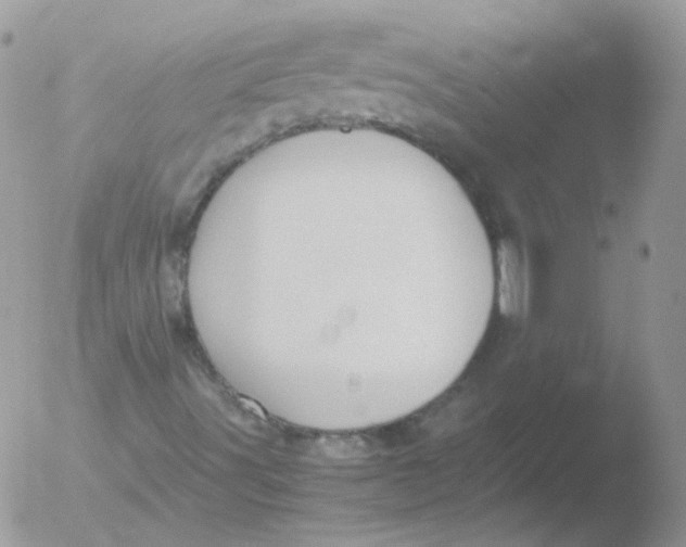 X0000051911491200507152017