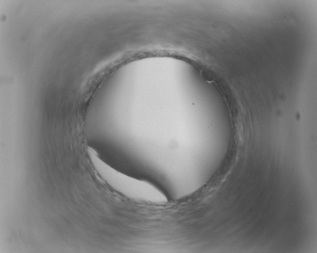 X0000051911494200507152017