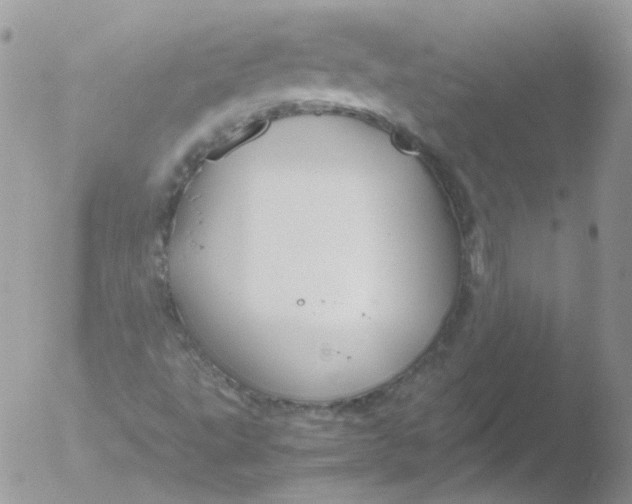 X0000051911495200507152017