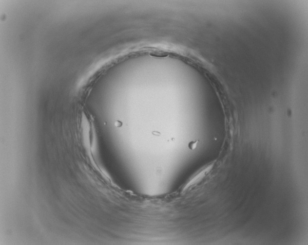 X0000051911496200507152017