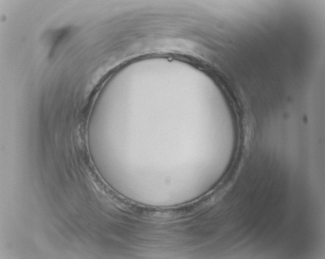 X0000051911497200507152017