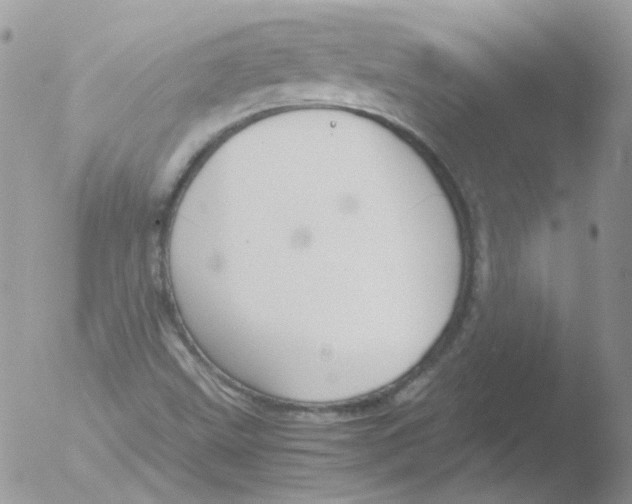 X0000051911499200507152017