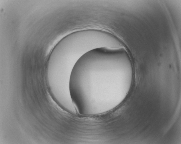 X0000051911500200507152017