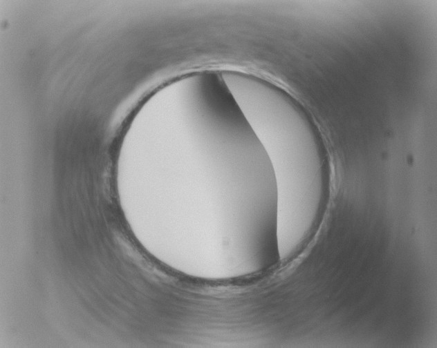 X0000051911502200507152017