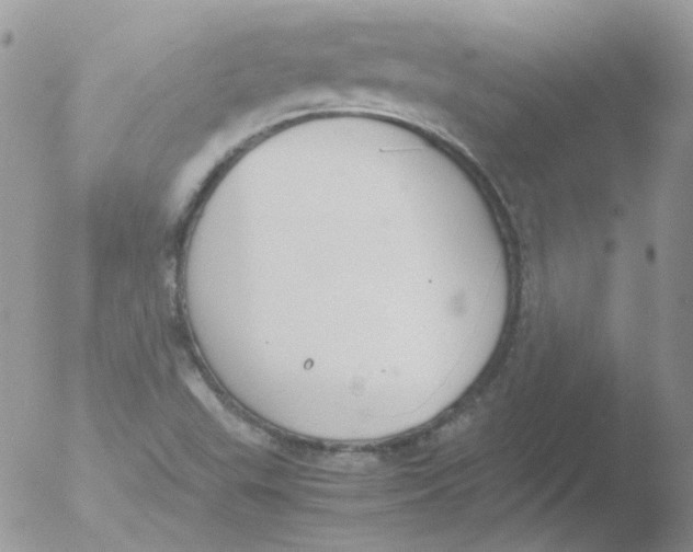 X0000051911503200507152017