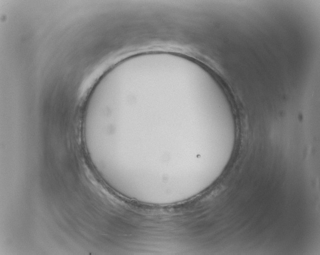 X0000051911504200507152017