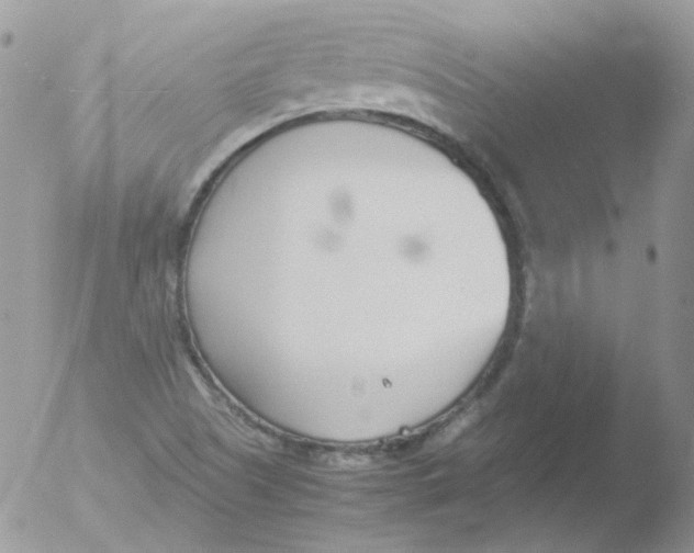 X0000051911505200507152017