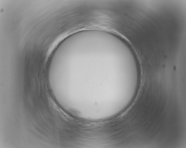 X0000051911506200507152017