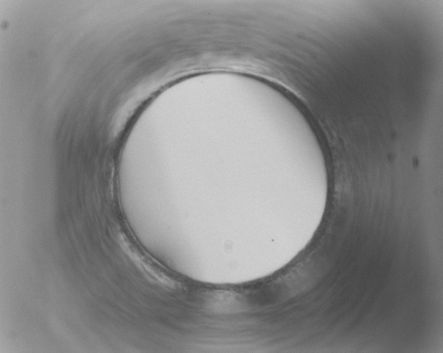 X0000051911507200507152017