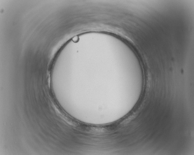 X0000051911509200507152017