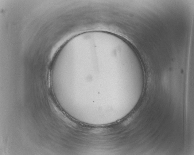 X0000051911510200507152017