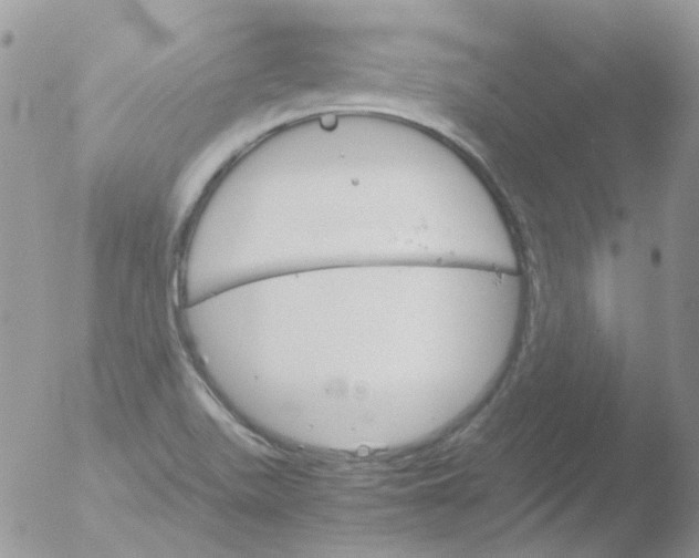 X0000051911511200507152017