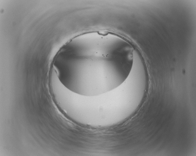 X0000051911512200507152017