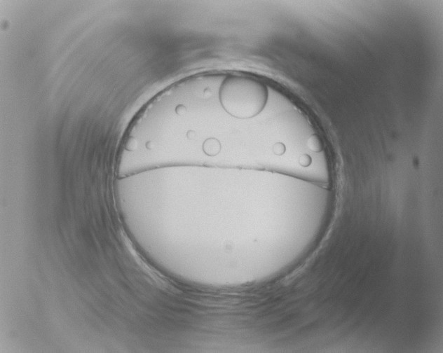 X0000051911513200507152017