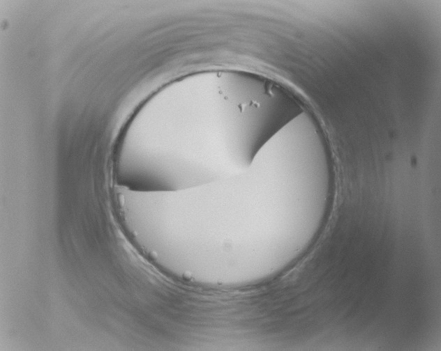 X0000051911514200507152017