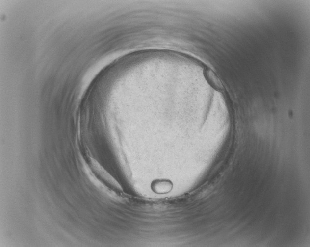 X0000051911515200507152017