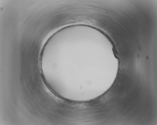 X0000051911516200507152017