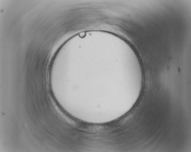 X0000051911517200507152017