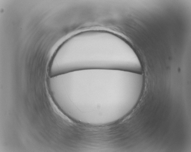 X0000051911518200507152017