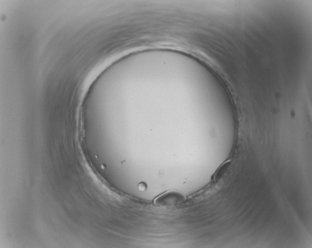 X0000051911520200507152017