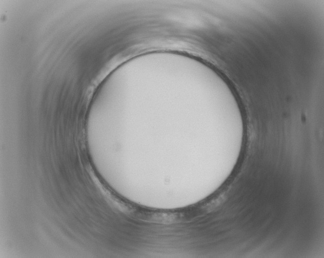 X0000051911521200507152017