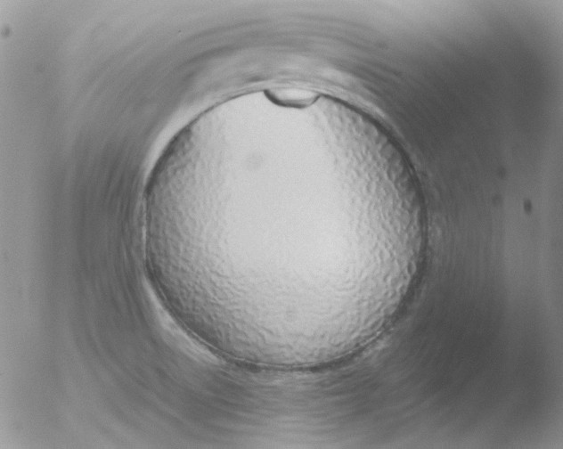 X0000051911522200507152017