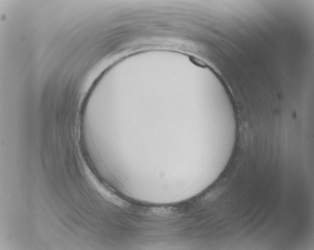 X0000051911523200507152017