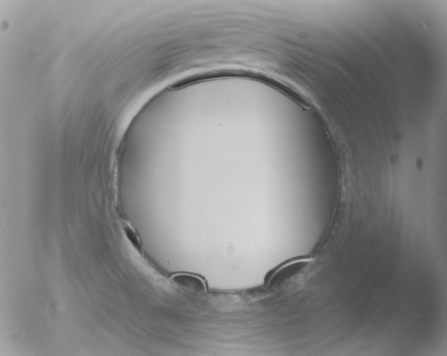 X0000051911524200507152017