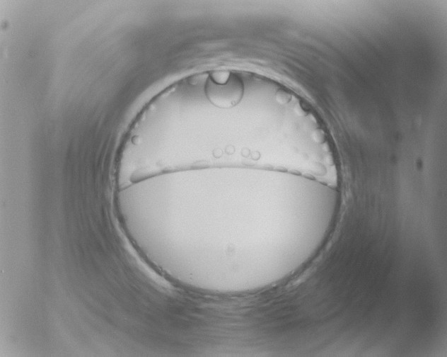 X0000051911525200507152017