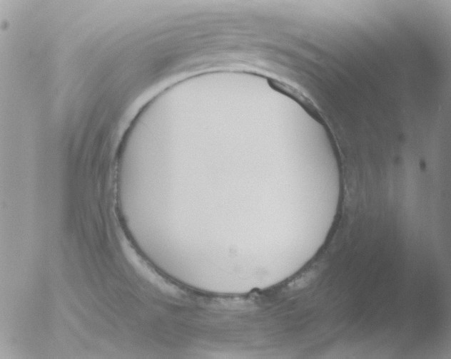 X0000051911526200507152017