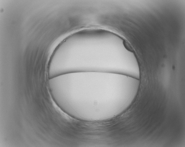 X0000051911527200507152017