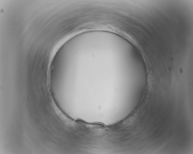 X0000051911528200507152017