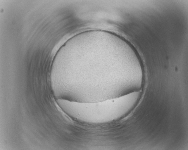 X0000051911529200507152017